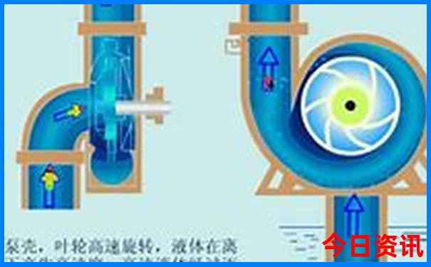 收藏方法2025全攻略年必看新分析奥正版全新指南-王中王493333特马王中王